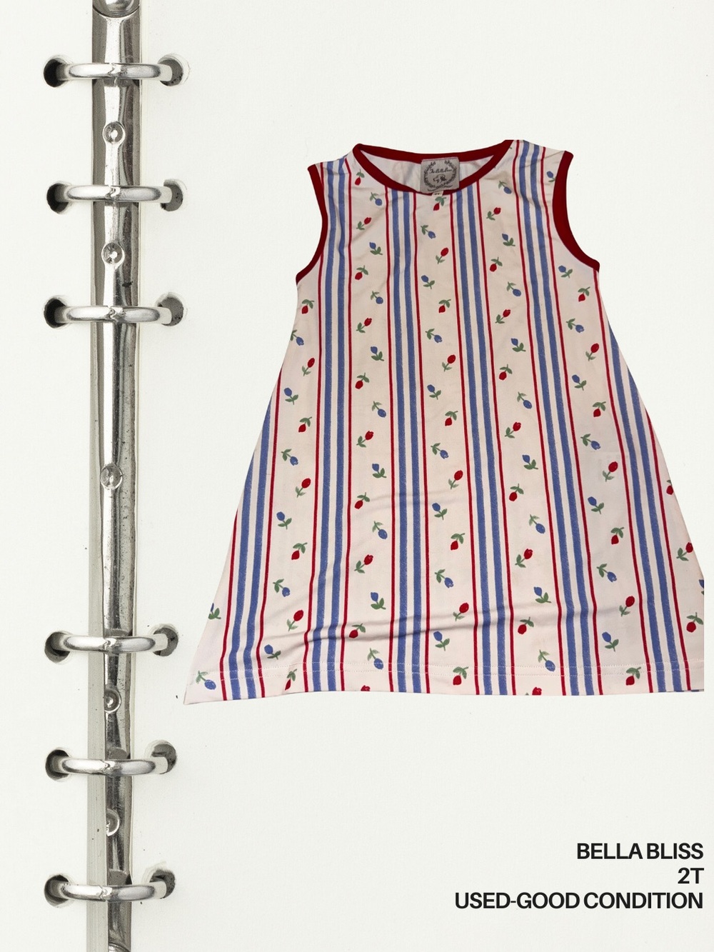 Bella bliss sleeveless dress